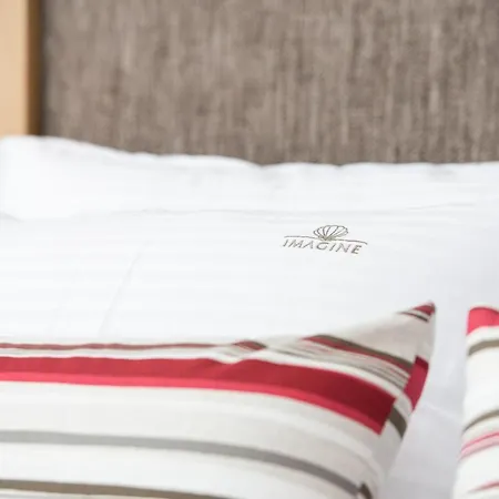 Imagine Luxury 4* Никити